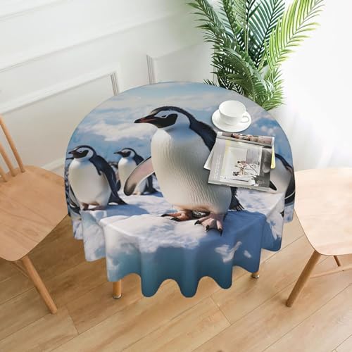 CSGJMYGS Tischdecke mit Pinguin-Druck, auslaufsicher, wasserfest, dekorative Stoff-Tischdecke für Zuhause, Küche, Innen- und Außenbereich, Esstisch, 152,4 cm CSGJMYGS Tischdecke mit Pinguin-Druck, auslaufsicher, wasserfest, dekorative Stoff-Tischdecke für Zuhause, Küche, Innen- und Außenbereich, Esstisch, 152,4 cm von CSGJMYGS