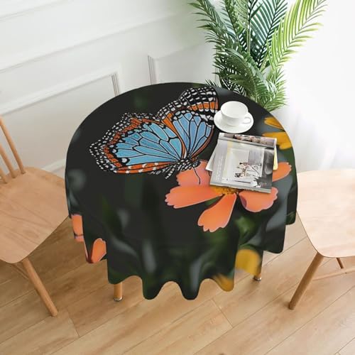 CSGJMYGS Tischdecke mit Schmetterlings- und Blumendruck, auslaufsicher, wasserfest, dekorative Stoff-Tischdecke für Zuhause, Küche, Innen- und Außenbereich, Esstisch, 152,4 cm CSGJMYGS Tischdecke mit Schmetterlings- und Blumendruck, auslaufsicher, wasserfest, dekorative Stoff-Tischdecke für Zuhause, Küche, Innen- und Außenbereich, Esstisch, 152,4 cm von CSGJMYGS