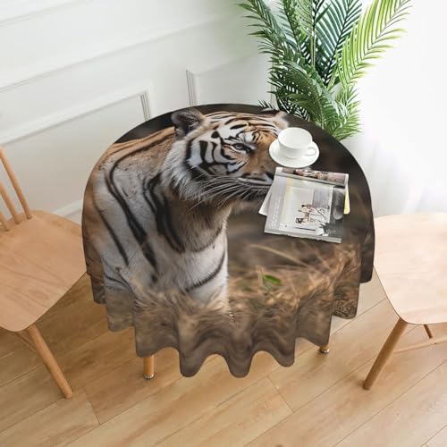 CSGJMYGS Tischdecke mit Tiermotiven, auslaufsicher, wasserfest, dekorative Stoff-Tischdecke für Zuhause, Küche, Innen- und Außenbereich, Esstisch, 152,4 cm CSGJMYGS Tischdecke mit Tiermotiven, auslaufsicher, wasserfest, dekorative Stoff-Tischdecke für Zuhause, Küche, Innen- und Außenbereich, Esstisch, 152,4 cm von CSGJMYGS