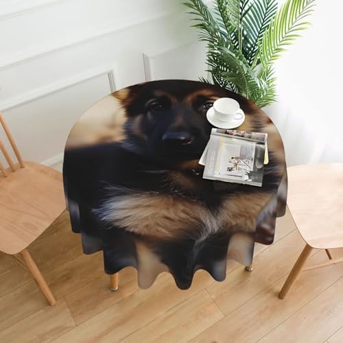 CSGJMYGS Tischdecke mit deutschem Schäferhund-Motiv, auslaufsicher, wasserfest, dekorative Stoff-Tischdecke für Zuhause, Küche, Innen- und Außenbereich, Esstisch, 152,4 cm CSGJMYGS Tischdecke mit deutschem Schäferhund-Motiv, auslaufsicher, wasserfest, dekorative Stoff-Tischdecke für Zuhause, Küche, Innen- und Außenbereich, Esstisch, 152,4 cm von CSGJMYGS