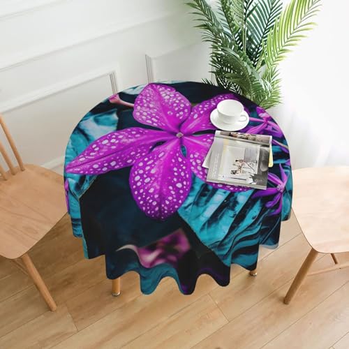 CSGJMYGS Tischdecke mit süßem violettem Blumendruck, auslaufsicher, wasserfest, dekorative Stoff-Tischdecke für Zuhause, Küche, Innen- und Außenbereich, Esstisch, 152,4 cm CSGJMYGS Tischdecke mit süßem violettem Blumendruck, auslaufsicher, wasserfest, dekorative Stoff-Tischdecke für Zuhause, Küche, Innen- und Außenbereich, Esstisch, 152,4 cm von CSGJMYGS