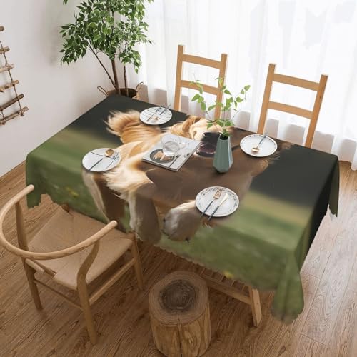 Csgjmygs Golden Retriever Tischdecke, auslaufsicher, wasserfest, dekorative Stoff-Tischdecke für Zuhause, Küche, Innen- und Außenbereich, Esstisch, 137 x 183 cm Csgjmygs Golden Retriever Tischdecke, auslaufsicher, wasserfest, dekorative Stoff-Tischdecke für Zuhause, Küche, Innen- und Außenbereich, Esstisch, 137 x 183 cm von CSGJMYGS