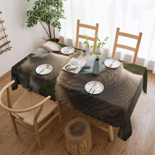Csgjmygs Tischdecke mit Schaf-Motiv, auslaufsicher, wasserfest, dekorative Stoff-Tischdecke für Zuhause, Küche, Innen- und Außenbereich, Esstisch, 137 x 183 cm Csgjmygs Tischdecke mit Schaf-Motiv, auslaufsicher, wasserfest, dekorative Stoff-Tischdecke für Zuhause, Küche, Innen- und Außenbereich, Esstisch, 137 x 183 cm von CSGJMYGS