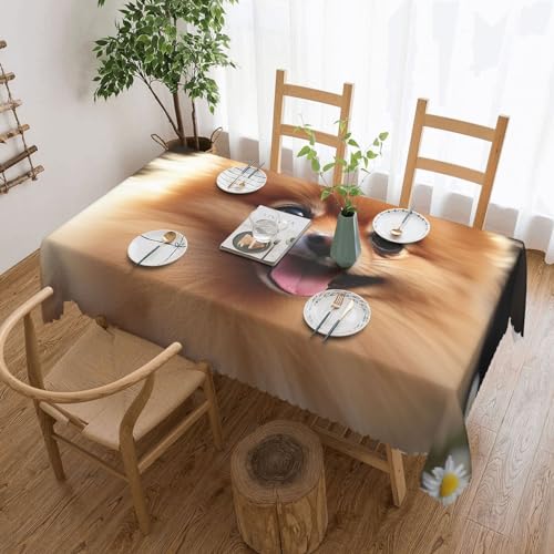 Csgjmygs Tischdecke mit Zwergspitz-Motiv, auslaufsicher, wasserfest, dekorative Stoff-Tischdecke für Zuhause, Küche, Innen- und Außenbereich, Esstisch, 137 x 183 cm Csgjmygs Tischdecke mit Zwergspitz-Motiv, auslaufsicher, wasserfest, dekorative Stoff-Tischdecke für Zuhause, Küche, Innen- und Außenbereich, Esstisch, 137 x 183 cm von CSGJMYGS