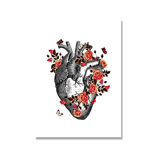 CSUNNY DIY-Malerei für Erwachsene, Anatomie, medizinisches Blumenorgel-Herz, Malen-nach-Zahlen-Set auf Leinwand für Anfänger, 30 x 40 cm von CSUNNY