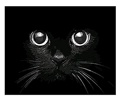 CSUNNY Malen nach Zahlen, schwarze Katze, DIY-Ölgemälde nach Zahlen, Junior-Malset, Malen nach Zahlen für Erwachsene und Kinder, Ölgemälde, Geschenk, Heimdekoration, 40 x 40 cm von CSUNNY