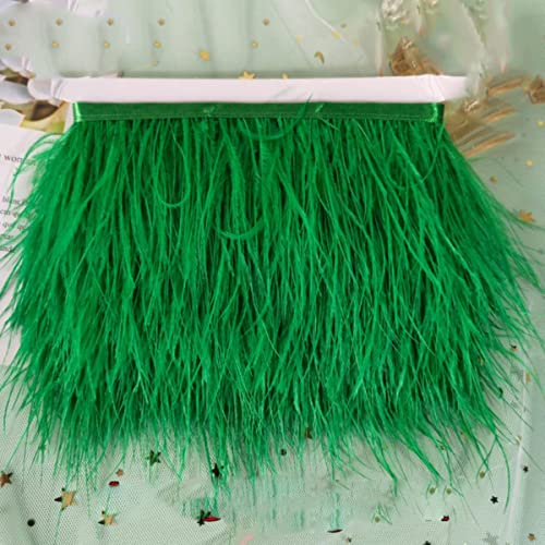 CTLH20 1 Meter 8-10 cm Mehrfarbige echte Straußenfeder Borte Band Weißer Strauß für Kleid Kleidung Dekoration Nähen Federn Crafts-44 Grasgrün von CTLH20