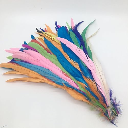 Spitze mit Federfransen, 100 stücke DIY Kleidung Schmuck Zubehör Party DIY Mittelstücke(Mixcolors,10 12inch 25 30CM) von CTRSM