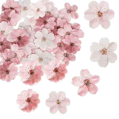 50pcs Blume Cupcake Toppers Essbare Kirschblüten -Cupcake -Topper Braut Engagement Geburtstagsfeier Getränke Topper Jubiläum Party Dekoration Vorräte, Kirschblüte Kuchendekorationen 50pcs Blume Cupcake Toppers Essbare Kirschblüten -Cupcake -Topper Braut Engagement Geburtstagsfeier Getränke Topper Jubiläum Party Dekoration Vorräte, Kirschblüte Kuchendekorationen von CUCUFA