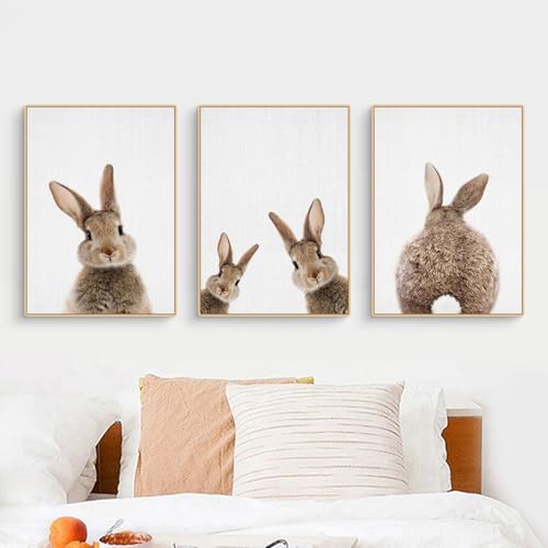 CULASIGN 3er Premium Kaninchen Poster Set, Tiere Hase Bilder Kinderposter Leinwand Wandkunst, Wandbilder Deko für Kinderzimmer Babyzimmer Mädchen Jungen, Ohne Bilderrahmen (50x70cm,MNO) von CULASIGN