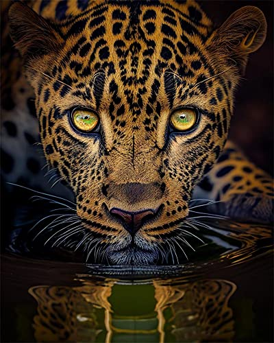 CULASIGN 5D Diamond Painting Tiere, DIY Diamant Painting Bilder Erwachsene, Leopard Diamond Painting Full Drill Diamant Malerei für Wall/Eingang/Büro Dekorationen (30x40cm) von CULASIGN