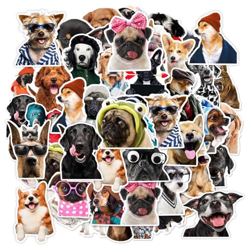CVDYWDJIE 100 Hundeaufkleber, Süße Tieraufkleber, Wasserfeste Aufkleber, Kreative Aufkleber, Dekorative Gitarren, Notizbücher, Gepäck CVDYWDJIE 100 Hundeaufkleber, Süße Tieraufkleber, Wasserfeste Aufkleber, Kreative Aufkleber, Dekorative Gitarren, Notizbücher, Gepäck von CVDYWDJIE