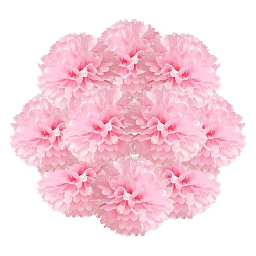 CXNXFD 10Pcs 10-Zoll Hellrosa Papier Blume Ball Romantische Warme Kreative Hängende Geeignet für Urlaub Party Dekorationen CXNXFD 10Pcs 10-Zoll Hellrosa Papier Blume Ball Romantische Warme Kreative Hängende Geeignet für Urlaub Party Dekorationen von CXNXFD
