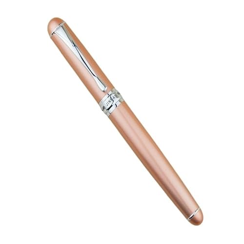 CYSUE Füllfederhalter, 0,7 mm, feine Feder, Metall, silberfarbener Clip, Tintenstifte zum Schreiben, Schulanfang, Bürobedarf, Schreibwaren (14) von CYSUE