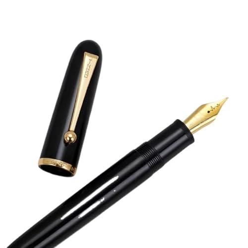 CYSUE Füllfederhalter mit Herzschlagspitze, Schreibwaren, niedliche Schneeflocken, Punkte, bunt, transparenter Schaft, Tintenstift, Geschenk für Studenten (1 Herzschlagfeder), M 0,7 mm von CYSUE