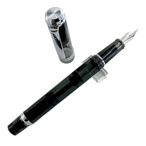 CYSUE Füllfederhalter mit Kolbentinte mit silberfarbener, harter, glatter/goldener, weicher, elastischer Feder zum Schreiben, Büro, Geschäftsgeschenk (03) von CYSUE