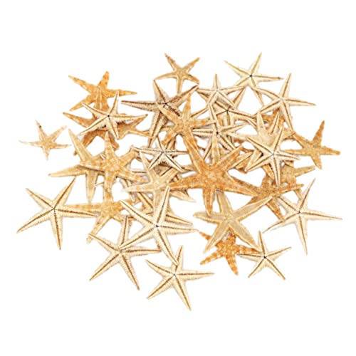 Cabilock Mini-seestern-Ornament Zement-Strass-skulptur Miniatur-landschaftsdekor Heim-deko-Accessoires Beige Cabilock Mini-seestern-Ornament Zement-Strass-skulptur Miniatur-landschaftsdekor Heim-deko-Accessoires Beige von Cabilock