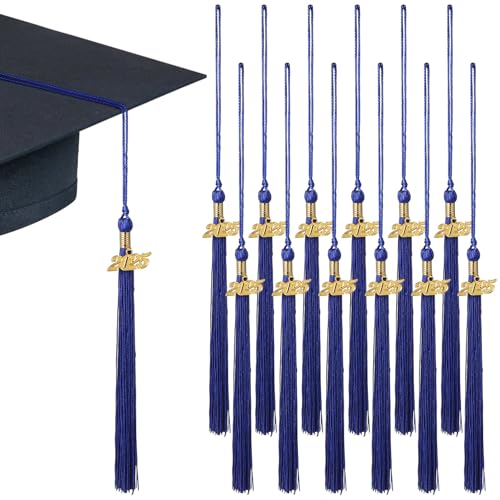 Cabilock 12 Quasten Für Die Abschlusskappe Mit Anhängern Für Das Jahr 2025 Dekorative Stoffquasten Für Die Abschlusskappe Für College High School Partygeschenke Und Zeremonien (Blau) von Cabilock