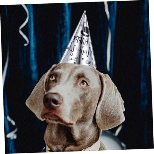 Cabilock 15 Stück Teiliges Neujahrs Partyhüte aus Wiederverwendbar Leichter Kegelförmig in Schwarz Gold und Silber für Erwachsene Festliche Silvester Dekoration Cabilock 15 Stück Teiliges Neujahrs Partyhüte aus Wiederverwendbar Leichter Kegelförmig in Schwarz Gold und Silber für Erwachsene Festliche Silvester Dekoration von Cabilock