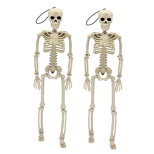 Cabilock 2 Stück Halloween Skelett Halloween Bürodekor Halloween Heimdekor Geheimraum Dekoration Realistisches Skelett Medaillon Halloween Süßigkeiten Türdekoration Halloween Cabilock 2 Stück Halloween Skelett Halloween Bürodekor Halloween Heimdekor Geheimraum Dekoration Realistisches Skelett Medaillon Halloween Süßigkeiten Türdekoration Halloween von Cabilock