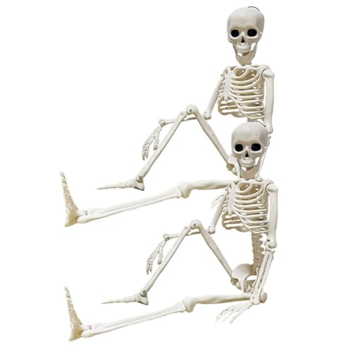 Cabilock 2 Stück Halloween-Skelett Halloween Dekoration Halloween-Dekoration Skeleton Model Halloween-Schädeldekorationen Bewegliches Skelett Skelettmodelle Plastik Weiß Cabilock 2 Stück Halloween-Skelett Halloween Dekoration Halloween-Dekoration Skeleton Model Halloween-Schädeldekorationen Bewegliches Skelett Skelettmodelle Plastik Weiß von Cabilock