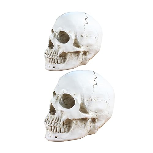 Cabilock 2 Stücke Desktop Schädelschmuck Simulation Schädel Halloween Party Dekoration Cabilock 2 Stücke Desktop Schädelschmuck Simulation Schädel Halloween Party Dekoration von Cabilock
