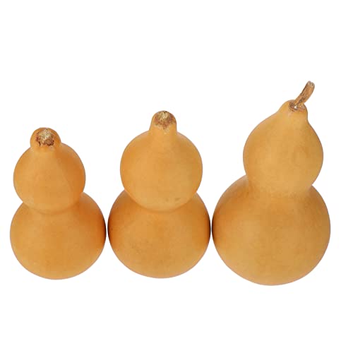 Cabilock 3 Stück Natürliche Kürbis Dekorationen Chinesisches Glücksornament für Zuhause und Büro Handgefertigtes Tischornament für der Chinesischen Kultur Cabilock 3 Stück Natürliche Kürbis Dekorationen Chinesisches Glücksornament für Zuhause und Büro Handgefertigtes Tischornament für der Chinesischen Kultur von Cabilock