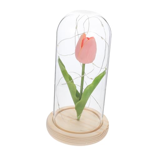 Cabilock Leuchtende Ornament Nachtlicht Glas Dome Elegante Hause Desktop Schmücken Praktische Cabilock Leuchtende Ornament Nachtlicht Glas Dome Elegante Hause Desktop Schmücken Praktische von Cabilock