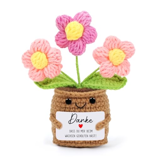 Cadimus Positive Blume,Kleines Dankeschön Geschenk,Kleine Gestrickte Blume Rosa,Lustige Häkelblumen Pocket Hug,Handgemachte Gehäkelte Blumen,Danke Geschenk für Freunde Kollegen Familie Freundin von Cadimus