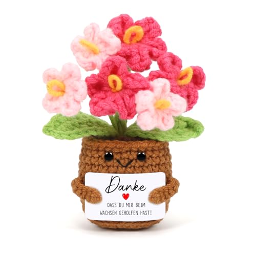 Cadimus Positive Blume,Kleines Dankeschön Geschenk,Rosa Kleine Gestrickte Blume,Lustige Häkelblumen Pocket Hug,Handgemachte Gehäkelte Blumen,Danke Geschenk für Freunde Kollegen Familie Freundin Cadimus Positive Blume,Kleines Dankeschön Geschenk,Rosa Kleine Gestrickte Blume,Lustige Häkelblumen Pocket Hug,Handgemachte Gehäkelte Blumen,Danke Geschenk für Freunde Kollegen Familie Freundin von Cadimus