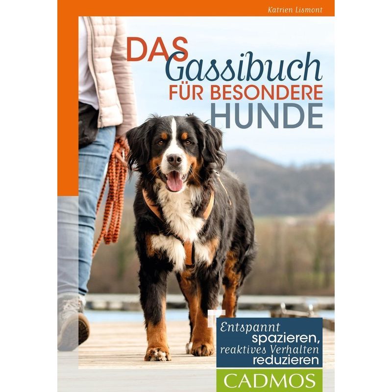 Das Gassibuch Für Besondere Hunde - Katrien Lismont, Kartoniert (TB) von Cadmos
