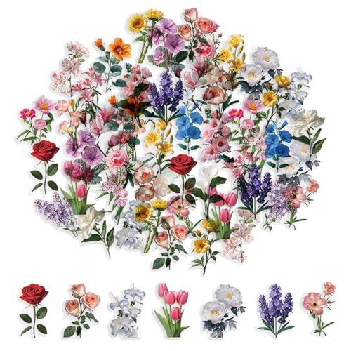 Caelura 50 Stück Scrapbook Stickers, Transparente PET Aufkleber Blumen, Wasserfeste Sticker Set für Scrapbooking, Geschenke, Bastelarbeiten, Laptop, Handy, Wand, Möbel Caelura 50 Stück Scrapbook Stickers, Transparente PET Aufkleber Blumen, Wasserfeste Sticker Set für Scrapbooking, Geschenke, Bastelarbeiten, Laptop, Handy, Wand, Möbel von Caelura