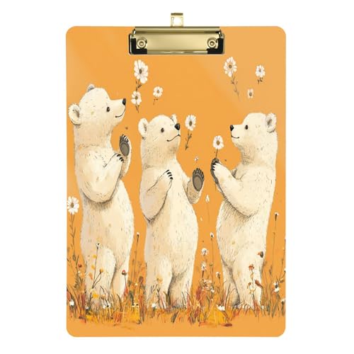 Acryl-Klemmbrett, niedlich, modisch, dekorativ, mit Metallclip, Aktenordner, Papier-Schreibblock, Dokumenten-Organizer für Schule, Arbeit, Zeichnen, silberfarbener Clip, 30,5 x 22,9 cm von Caihoyu