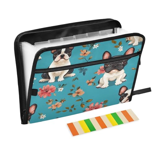 Fächermappe mit 13 Fächern, A4, Briefgröße, Dokumente, Quittungen, Organizer mit Reißverschluss, Klassenzimmer, Zuhause, Büro, Reisen, Cartoon, süßer Hund, Türkis Fächermappe mit 13 Fächern, A4, Briefgröße, Dokumente, Quittungen, Organizer mit Reißverschluss, Klassenzimmer, Zuhause, Büro, Reisen, Cartoon, süßer Hund, Türkis von Caihoyu