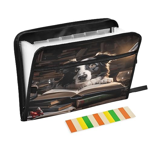 Fächermappe mit 13 Fächern, A4, Briefgröße, Papier, Akkordeon, Dokumenten-Organizer mit Reißverschluss, Büro, Schule, Border Collie, Bücher, Bibliothek, schwarz und weiß, braun, rot Fächermappe mit 13 Fächern, A4, Briefgröße, Papier, Akkordeon, Dokumenten-Organizer mit Reißverschluss, Büro, Schule, Border Collie, Bücher, Bibliothek, schwarz und weiß, braun, rot von Caihoyu