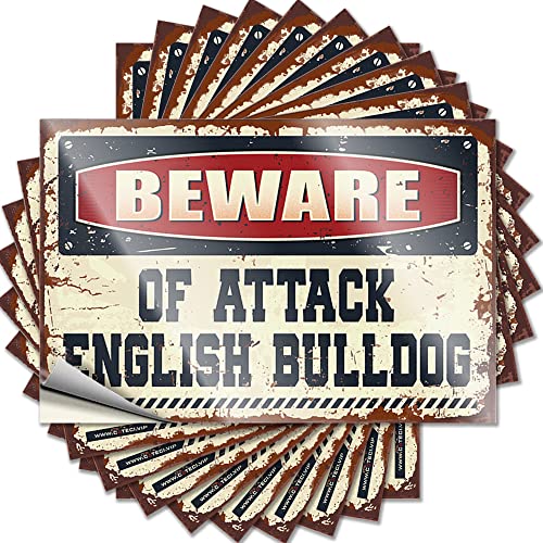 CakJuice Hardhat-Sticker und Abziehbilder "Beware of Attack" Englische Bulldogge, lustiger Aufkleber, 10 Stück, "No Stupid People", Werkzeugkasten-Aufkleber und Aufkleber (Größe: 8 x 12 cm) von CakJuice