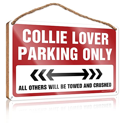 CakJuice Holzschild mit Aufschrift "Fall Veranda Collie Lover Parking Only", lustiges Wandschild, Vintage-Badezimmerschild (Größe: 20 x 30 cm) von CakJuice