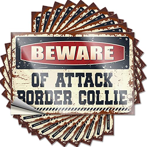 Hardhat-Sticker und Abziehbilder "Beware of Attack Border Collie", lustiger Aufkleber, 10 Stück, Männer, Höhlendekoration, Barregeln, Schild (Größe: 6 x 9 cm) von CakJuice