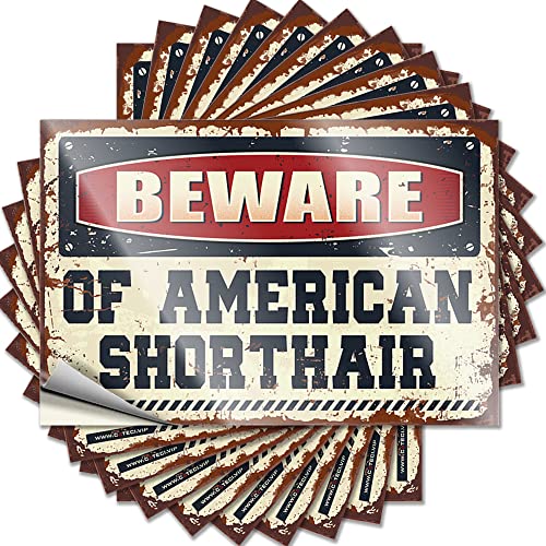 Lustiger Aufkleber "Beware of American Shorthair", lustiger Aufkleber, 10 Stück, für Männer, Höhlendekoration (Größe: 6 x 9 cm) von CakJuice