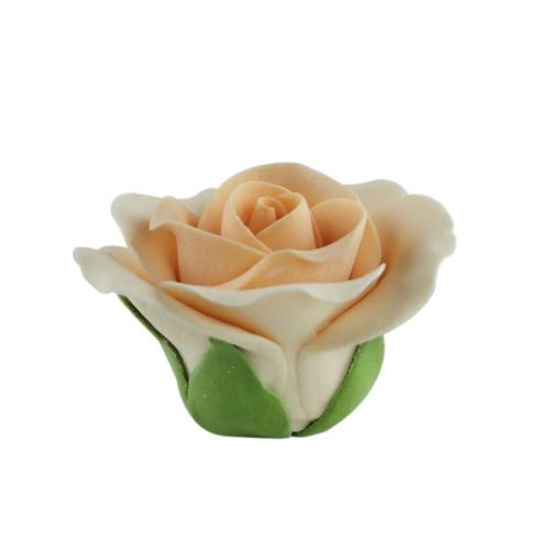 COXIMUS "backen und mehr" Feinzuckerrosen apricot groß 50mm 6 Stck | Zuckerblumen zur Dekoration von Kuchen und Torten von Cake Company