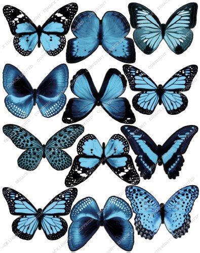 Cakeshop 12 x Vorgeschnittene Hellblau Essbare Schmetterlingskuchen Topper (Tortenaufleger, Bedruckte Oblaten, Oblatenaufleger) von Cakeshop