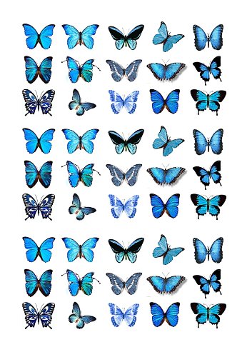 Cakeshop 45 x Essbare Blaue Schmetterlingskuchen Topper (Tortenaufleger, Bedruckte Oblaten, Oblatenaufleger) von Cakeshop