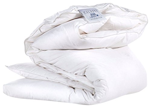Caleffi 06431 – Daunen Federn Gute Nacht 90% Daunen Gänse Bayerische 10% Federn 240 gr/qm Caleffi 06431 – Daunen Federn Gute Nacht 90% Daunen Gänse Bayerische 10% Federn 240 gr/qm von Caleffi