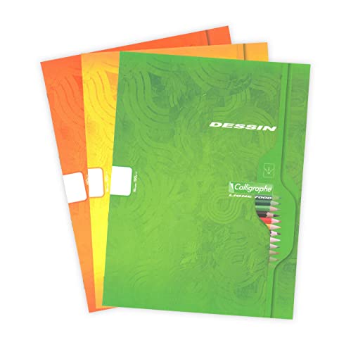 Clairefontaine 553C - Packung mit 25 Heften Calligraphe, ideal für Kunstunterricht und Zeichnungen, 8 Blatt, DIN A4+, 24x32 cm 120g, blanko, sortierte Farben, 1 Pack von Calligraphe