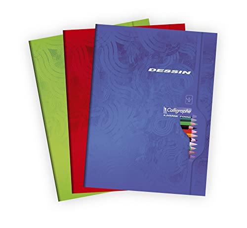 Clairefontaine 7555C - Packung mit 5 Heften Calligraphe, ideal für Kunstunterricht und Zeichnungen, 48 Blatt, DIN A4+, 24x32cm, 120g, blanko, sortierte Farben, 1 Pack von Calligraphe