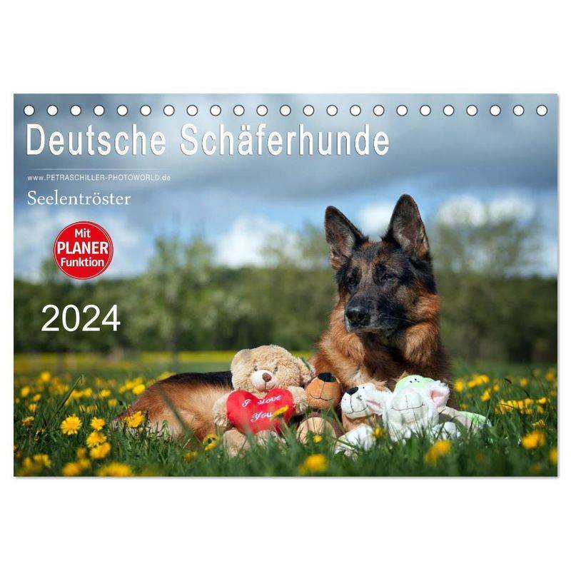 Deutsche Schäferhunde Seelentröster (Tischkalender 2024 Din A5 Quer), Calvendo Monatskalender von Calvendo