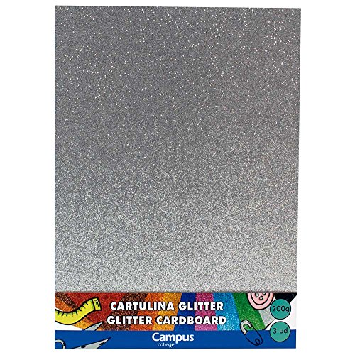 CAMPUS University 630702 – Karton, 235 x 305 mm, Farbe Silber CAMPUS University 630702 – Karton, 235 x 305 mm, Farbe Silber von Campus