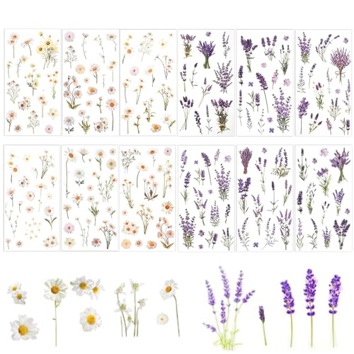 Canollo 12 Stück Transparente Blumen Sticker, Scrapbooking Aufkleber, Pflanzen Aufkleber, PET Blumen Stickers, Blumen Dekorative Sticker für Fotoalbum, Sammelalbum, Laptops, Handyhüllen Canollo 12 Stück Transparente Blumen Sticker, Scrapbooking Aufkleber, Pflanzen Aufkleber, PET Blumen Stickers, Blumen Dekorative Sticker für Fotoalbum, Sammelalbum, Laptops, Handyhüllen von Canollo