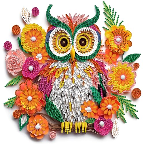 Canollo Diamond Painting Erwachsene, Daiments Painting Erwachsene, DIY Eule Diamant Painting Bilder, 5D Diamond-Painting Basteln set, Diamant Malerei Set für Geschenke und Home Wand Décor (30x30cm) von Canollo