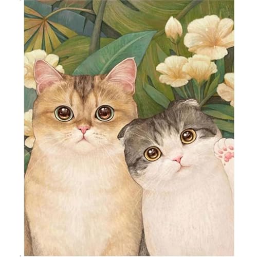 Canollo Malen Nach Zahlen Erwachsene Katze Set, Paint by Numbers Mit Pinsel und Acrylfarben, Malen Nach Zahlen Katze, 40 x 50 CM Paint by Numbers Adult, Cheerful Painting für Home Decor Geschenk von Canollo